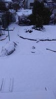 IMG-20170327-WA0000.jpg