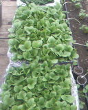 SP_A0304.jpg