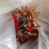 IMG_20170329_154119 (2).jpg
