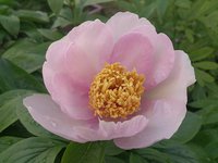 DSC_0511.jpg