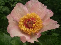 DSC_0444.jpg