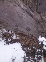 CAM00184.jpg
