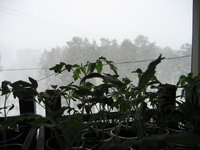 IMG_3291.JPG