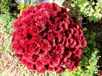DSC00030.JPG