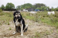 фото Олега Селезнёва