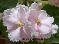 P1050278 - копия.JPG