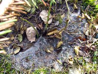 IMG_2800.JPG