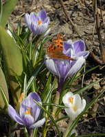 DSCN0715.1.jpg