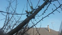 20170411_181227.jpg