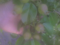 Photo-0001.jpg