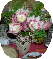 зизани.png