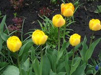 DSC06413.5.jpg