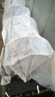 WP_20170414_026.jpg