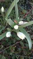 WP_20170414_006.jpg