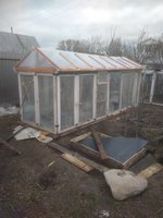 IMG_20170423_073551.jpg