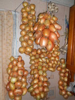 Разные сорта