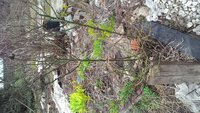 P_20170426_120916.jpg
