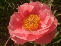 IMG_20130602_213044.jpg