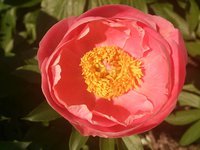 IMG_20130602_213157.jpg