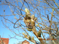 DSCN1391.JPG