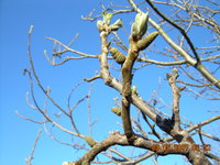 DSCN1397.JPG