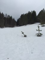 IMG_3582.JPG