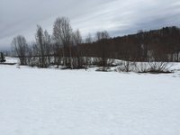 IMG_3598.JPG