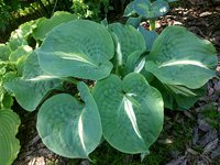 IMG_20130603_002127.jpg
