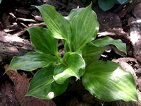 IMG_20130603_002330.jpg
