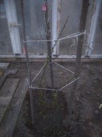 IMG_20170505_203154.jpg