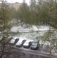 image.jpeg