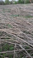 20170508_181046.jpg