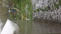 WP_20170508_14_06_51_Pro.jpg