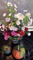 20141013_112231.jpg