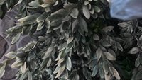 P_20170510_123519_HDR.jpg