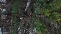 P_20170510_121937_HDR.jpg