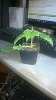 WP_20170514_001.jpg