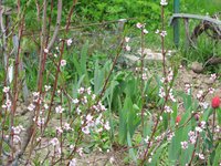 IMG_0023.JPG