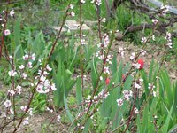 IMG_0024.JPG