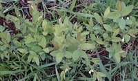 _20170516_220905.JPG