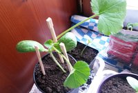 20170517_122349.jpg
