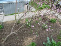IMG_0027.JPG