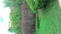 P_20170520_122537.jpg
