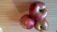 P_20170521_170520.jpg