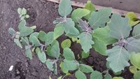 20170521_181157.jpg