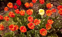 IMG_20170522_133520.jpg