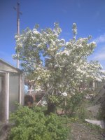 IMG_20170523_100746.jpg