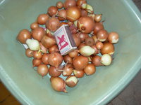 DSCN1028.JPG
