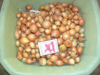 DSCN1029.JPG