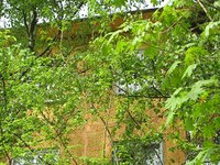 IMG_1219.JPG